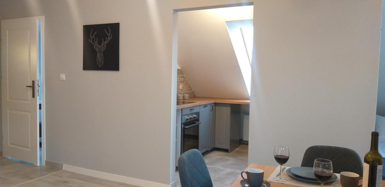 Apartamenty Nad Niwka Бельсько-Бяла Екстер'єр фото